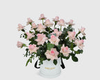 Garden Pink Rose