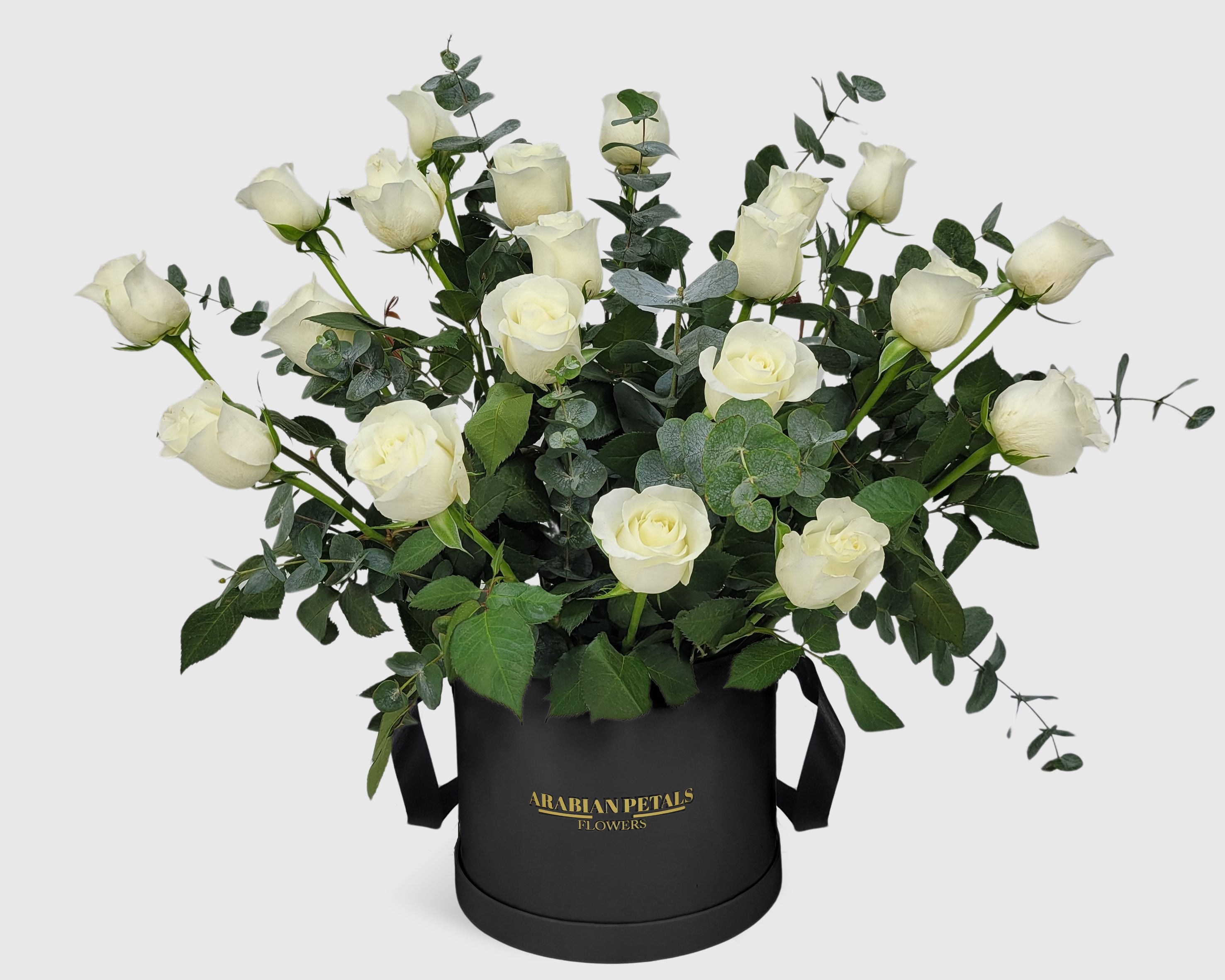 Garden White Rose