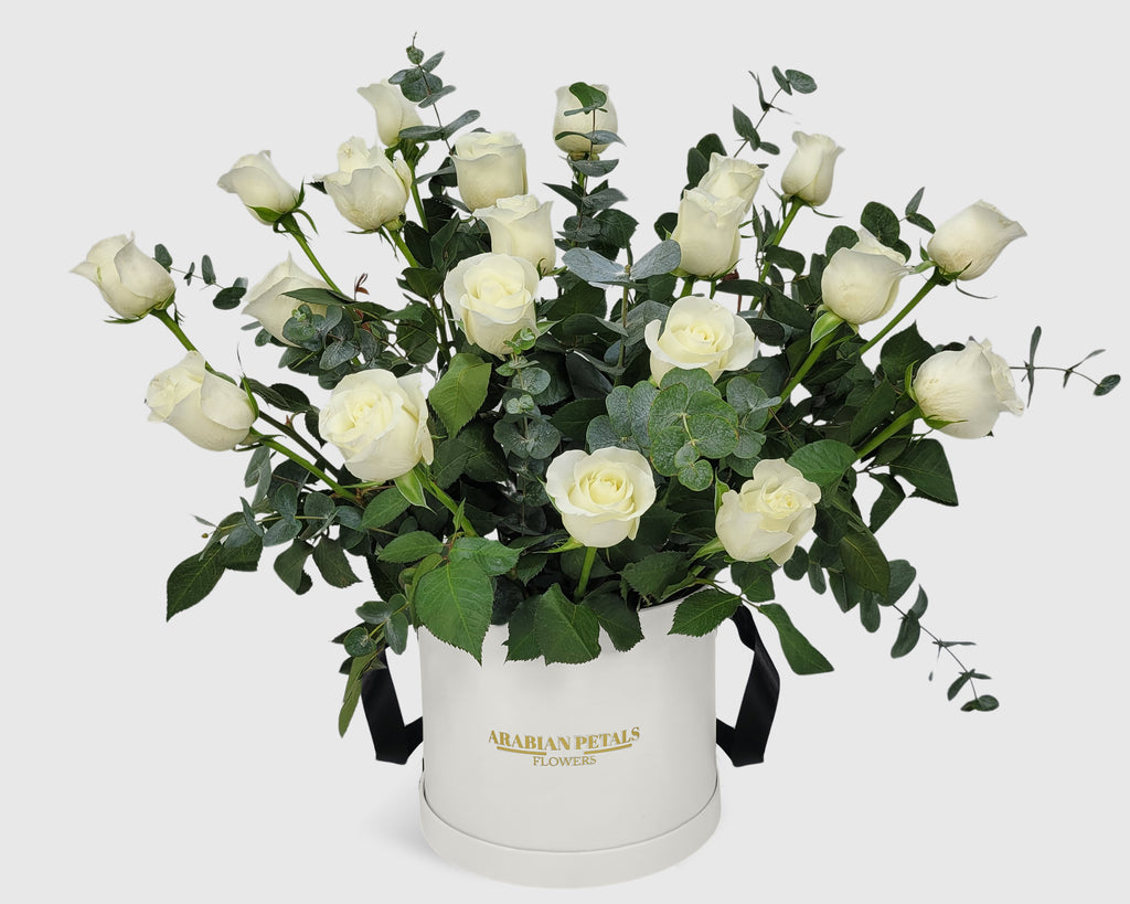 Garden White Rose