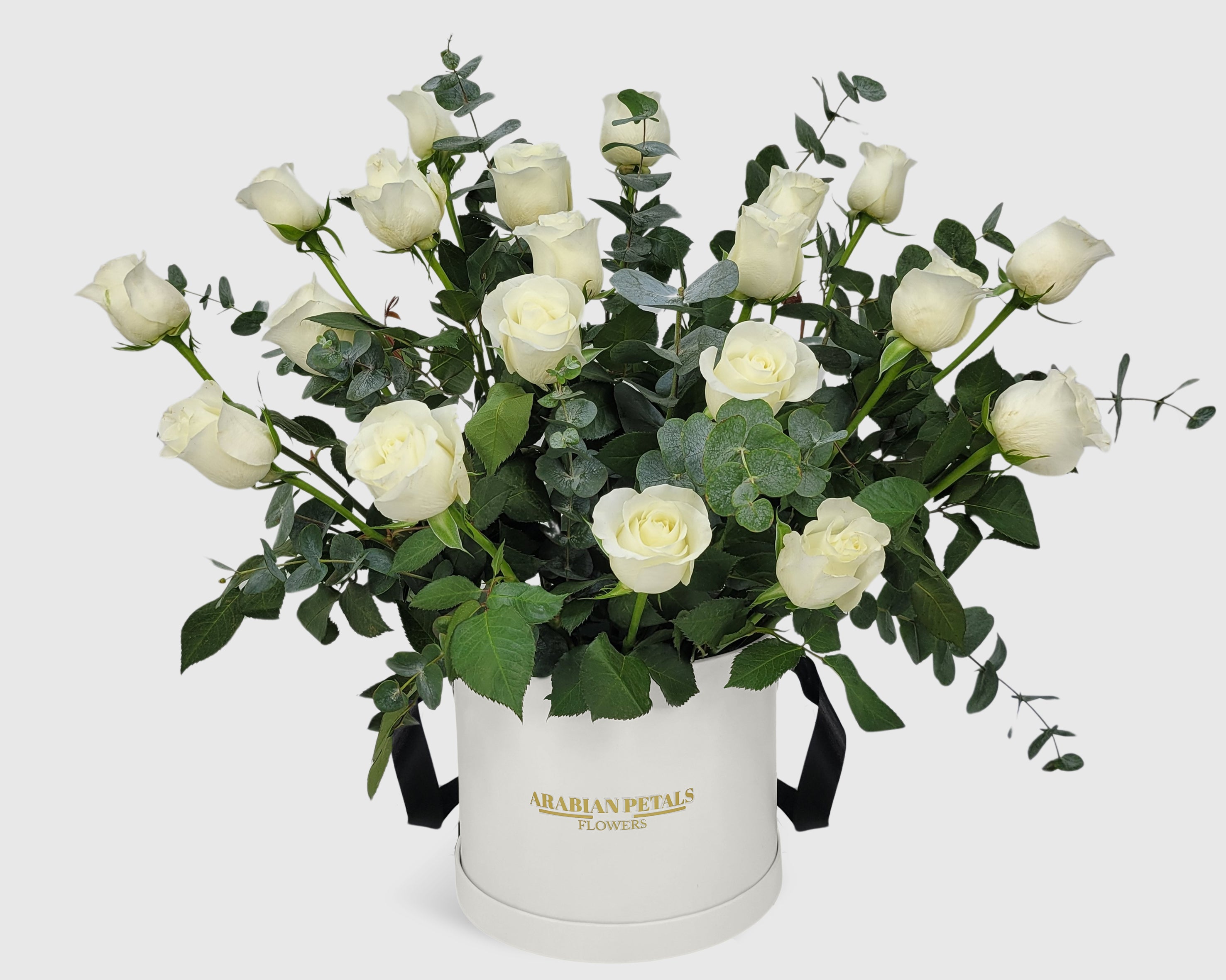 Garden White Rose