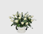 Garden White Rose