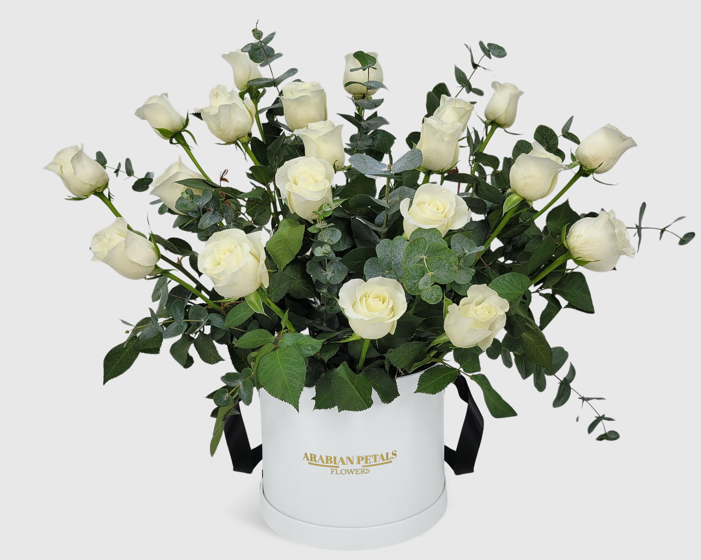 Garden White Rose