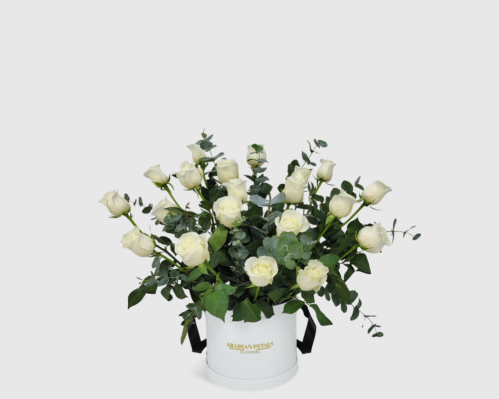 Garden White Rose