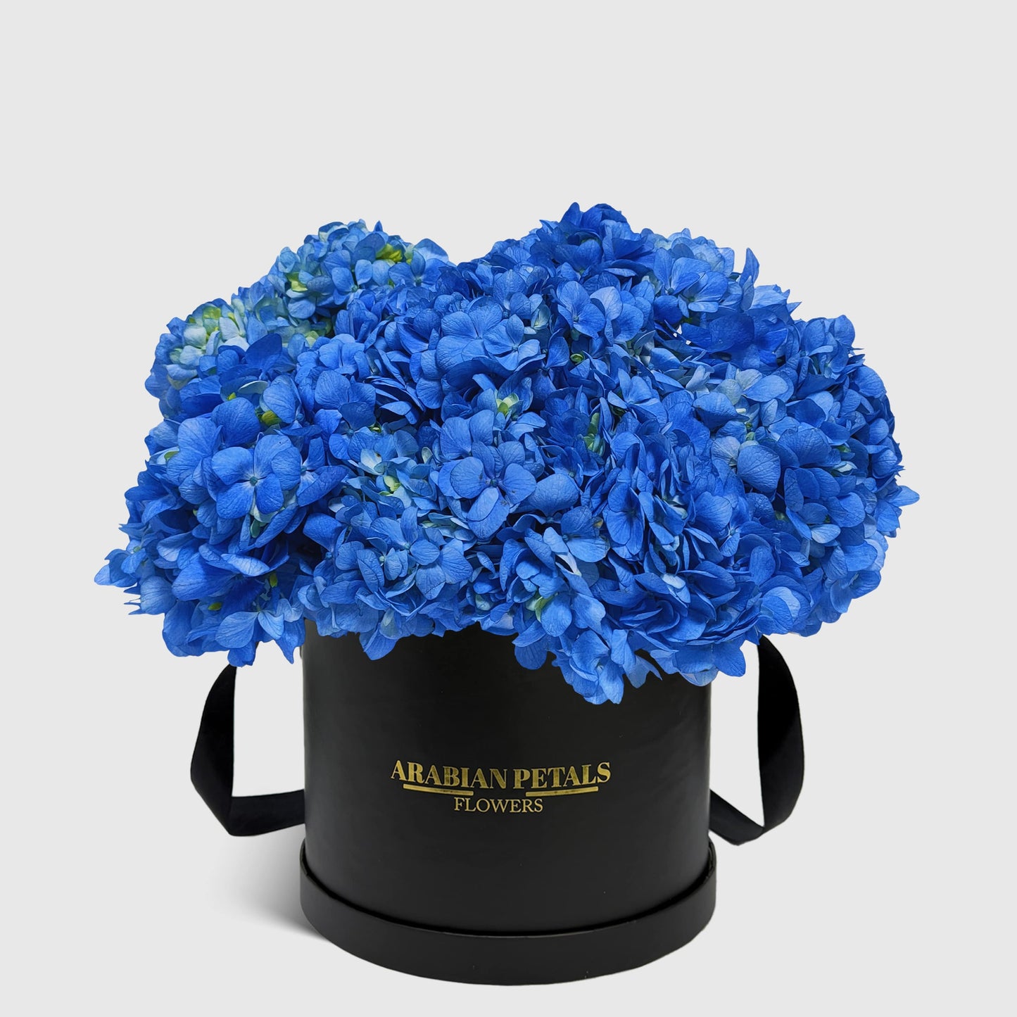 Blue Hydrangea