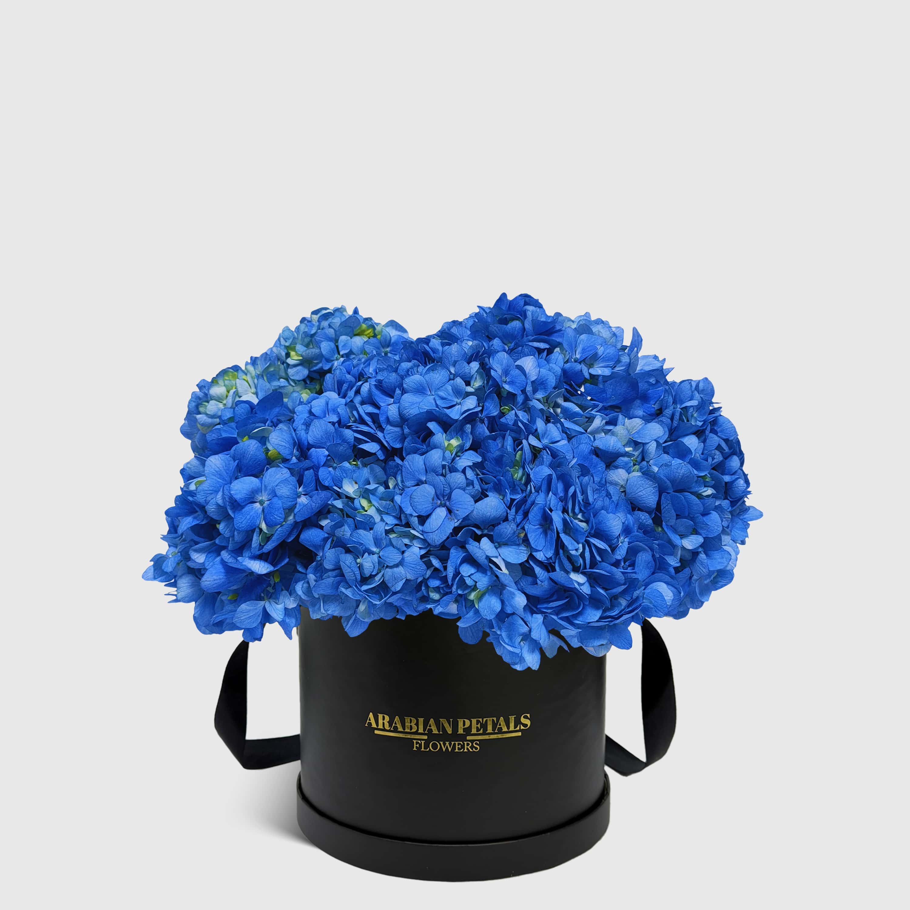 Blue Hydrangea