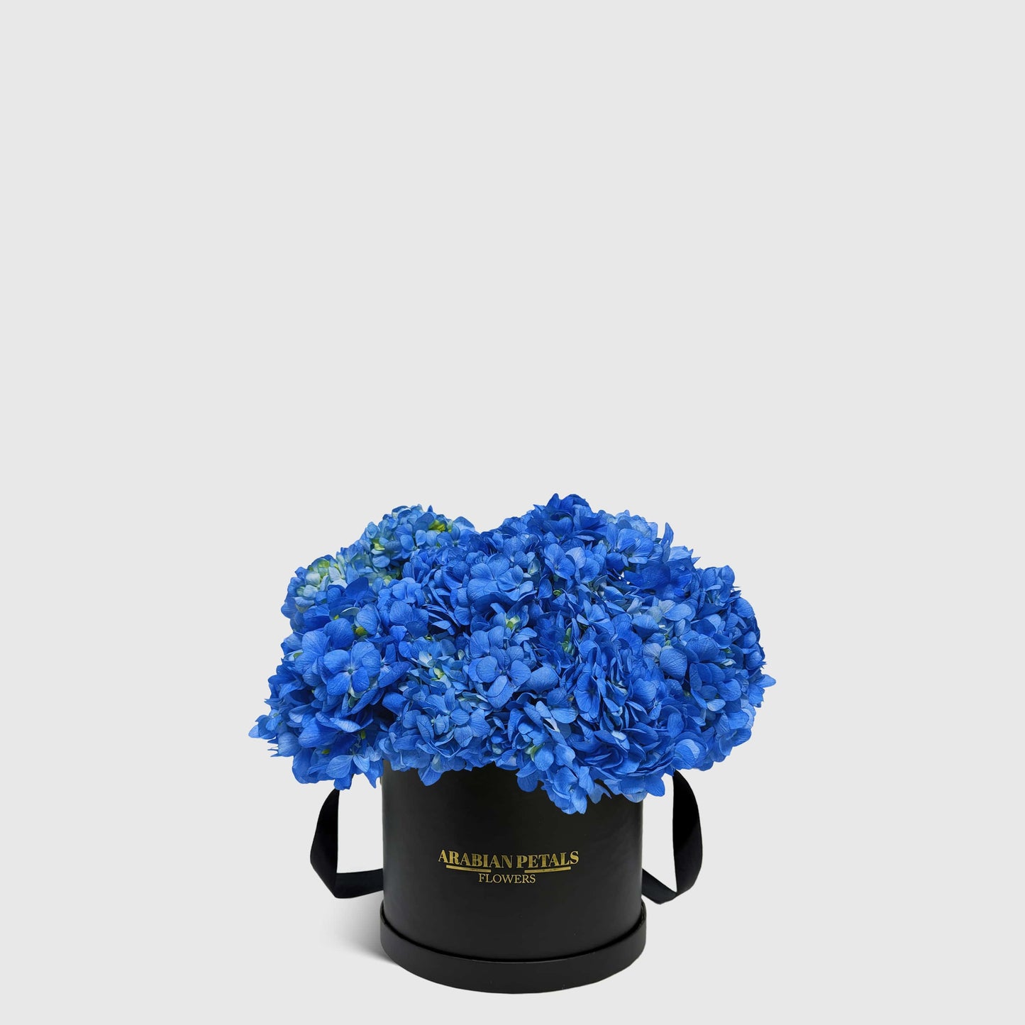 Blue Hydrangea