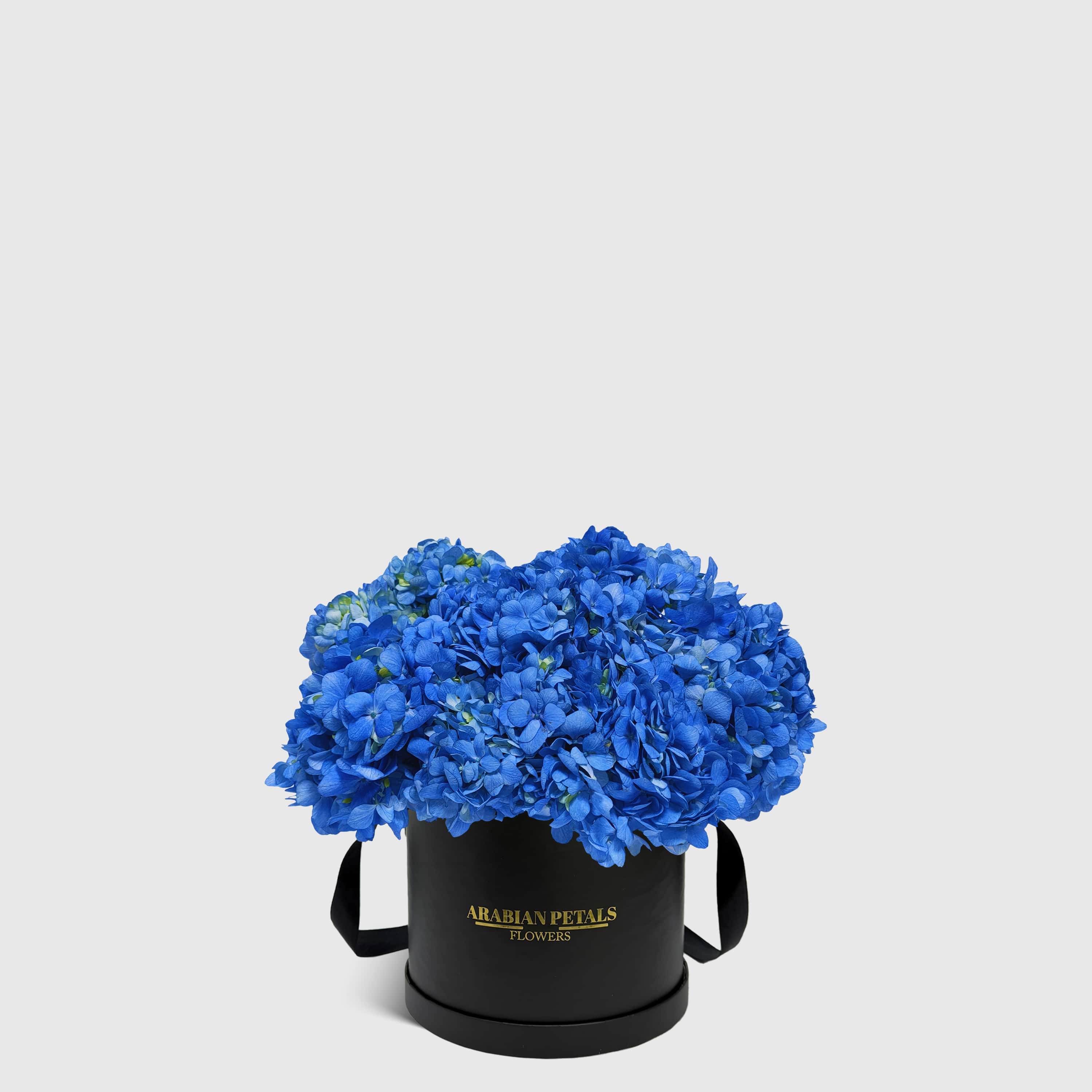 Blue Hydrangea