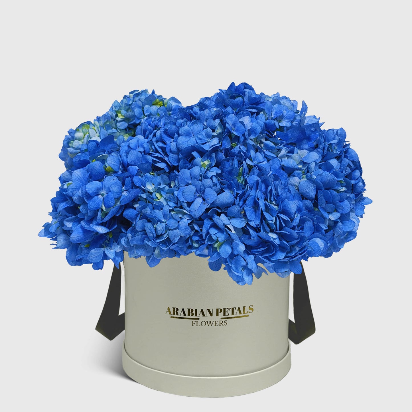 Blue Hydrangea