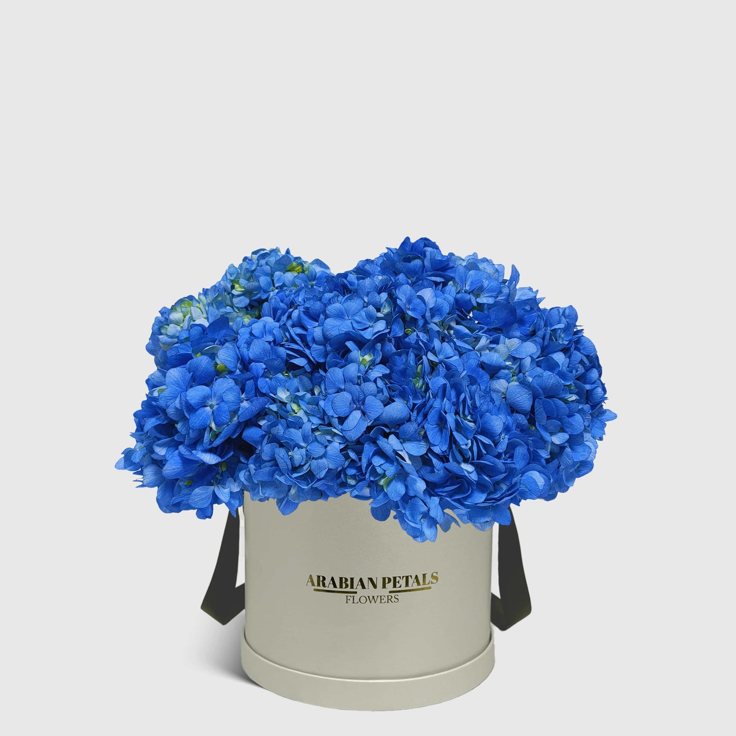 Blue Hydrangea