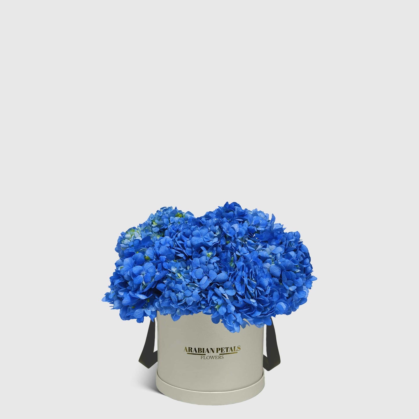 Blue Hydrangea