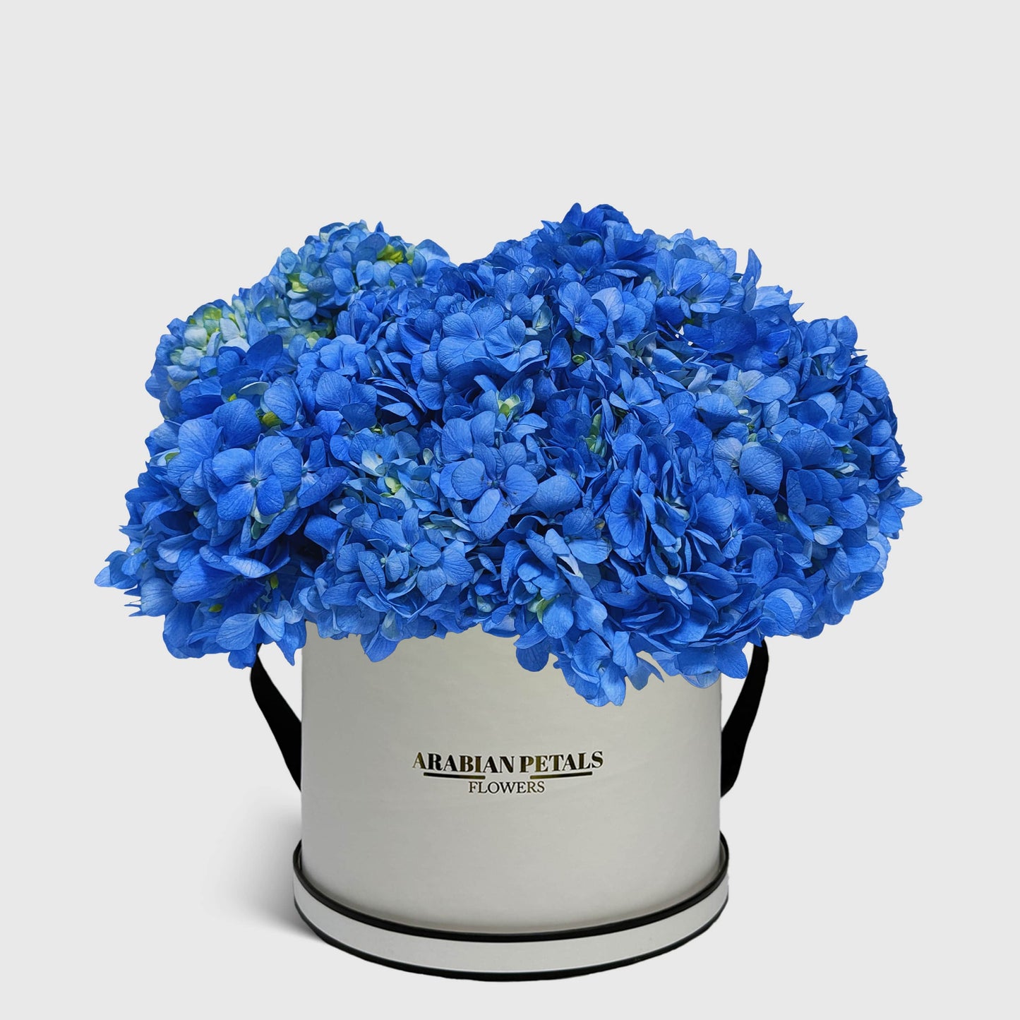 Blue Hydrangea
