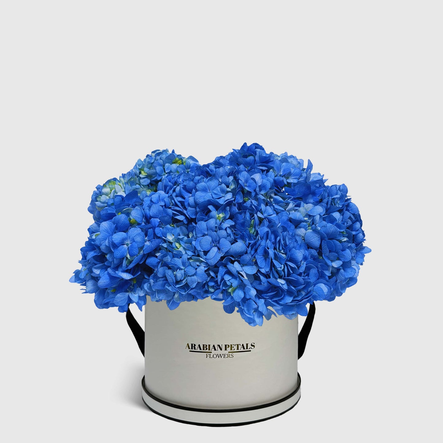 Blue Hydrangea