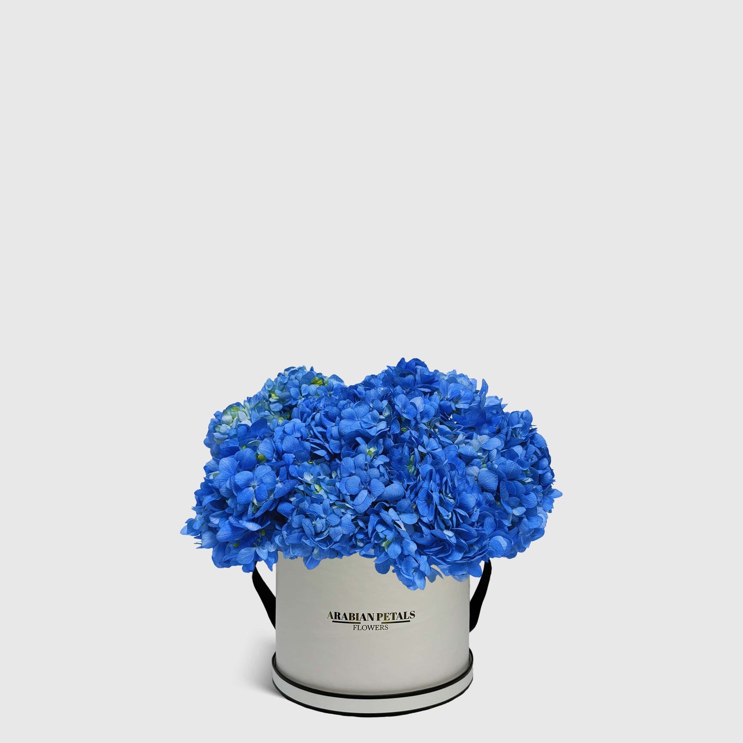 Blue Hydrangea