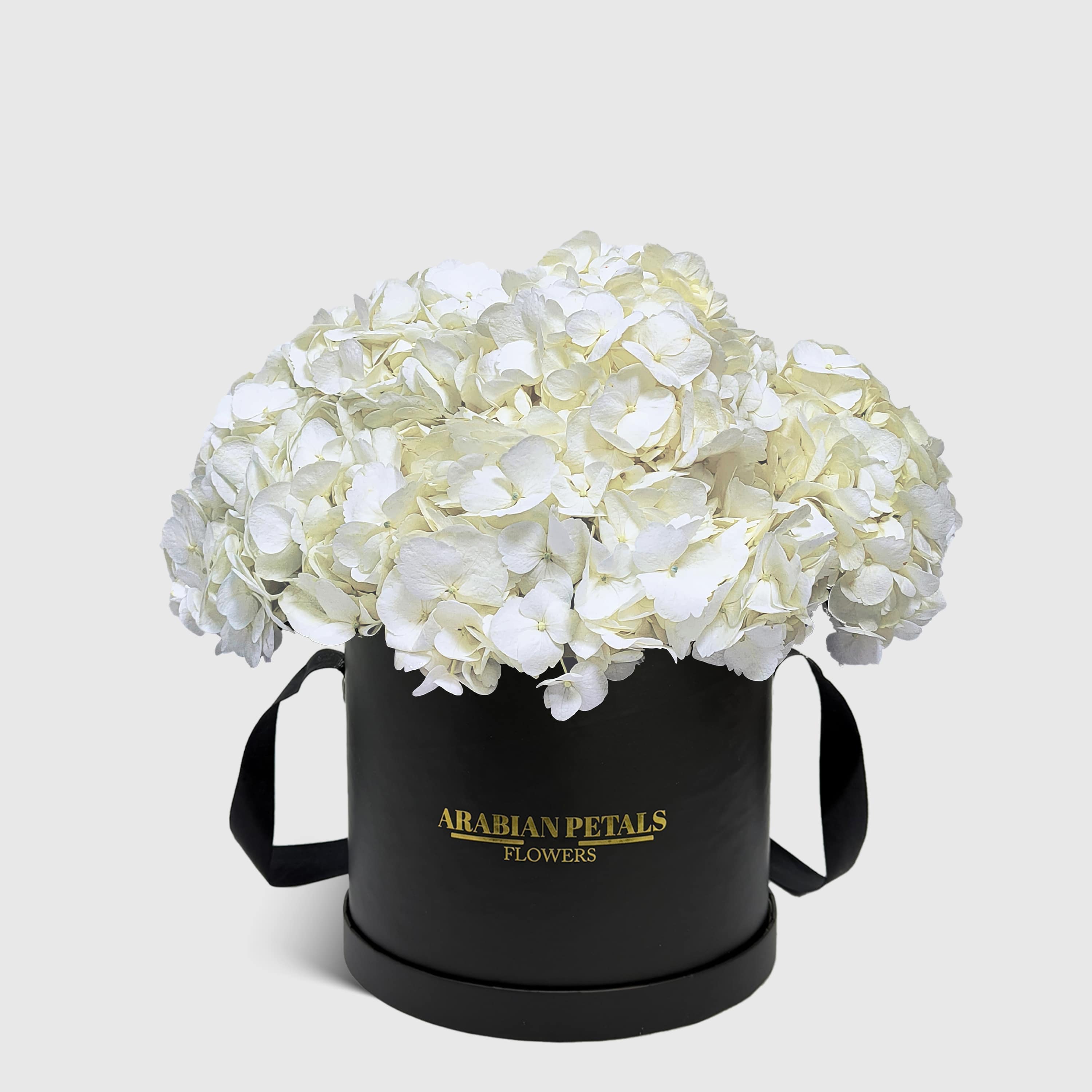 White Hydrangea