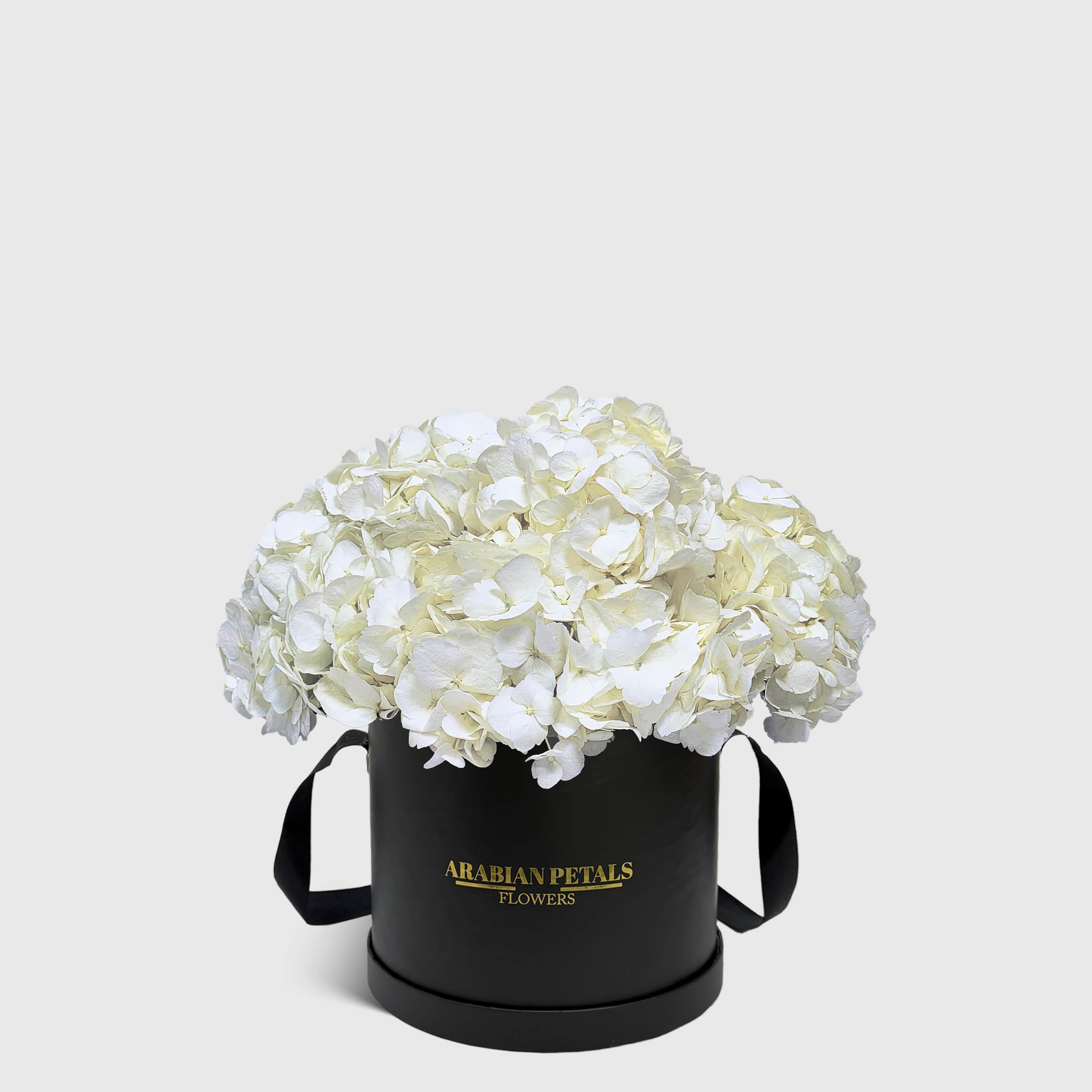 White Hydrangea