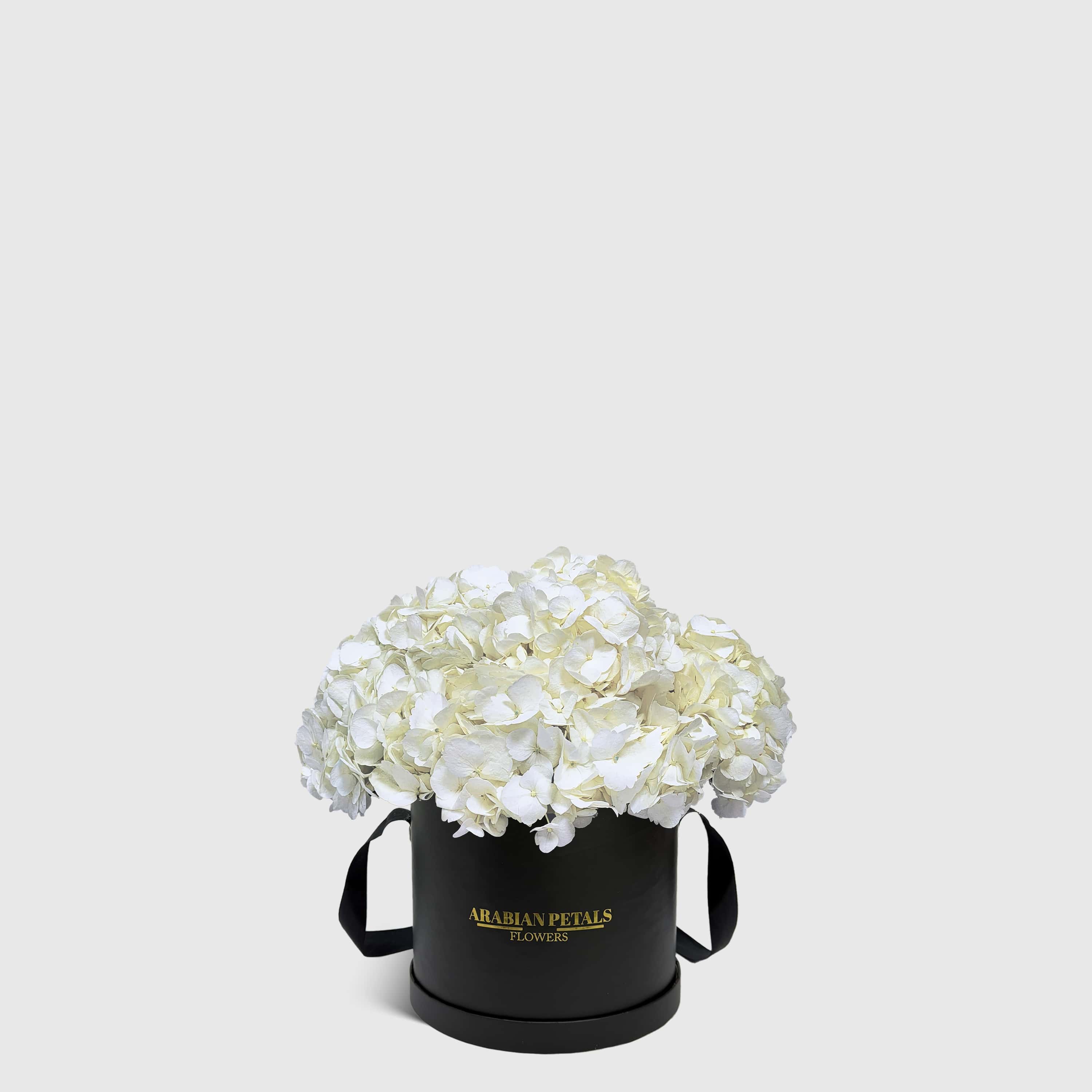 White Hydrangea