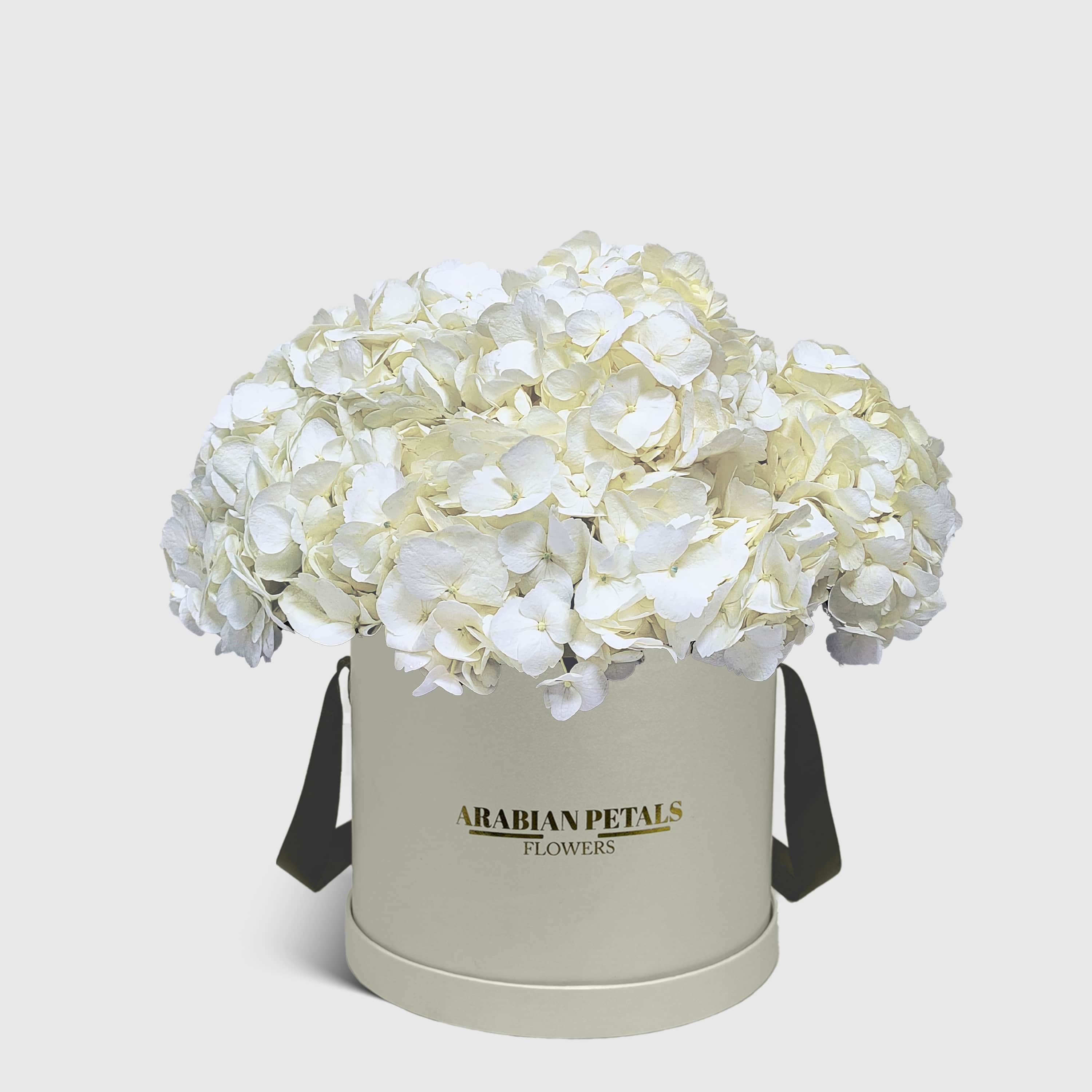 White Hydrangea