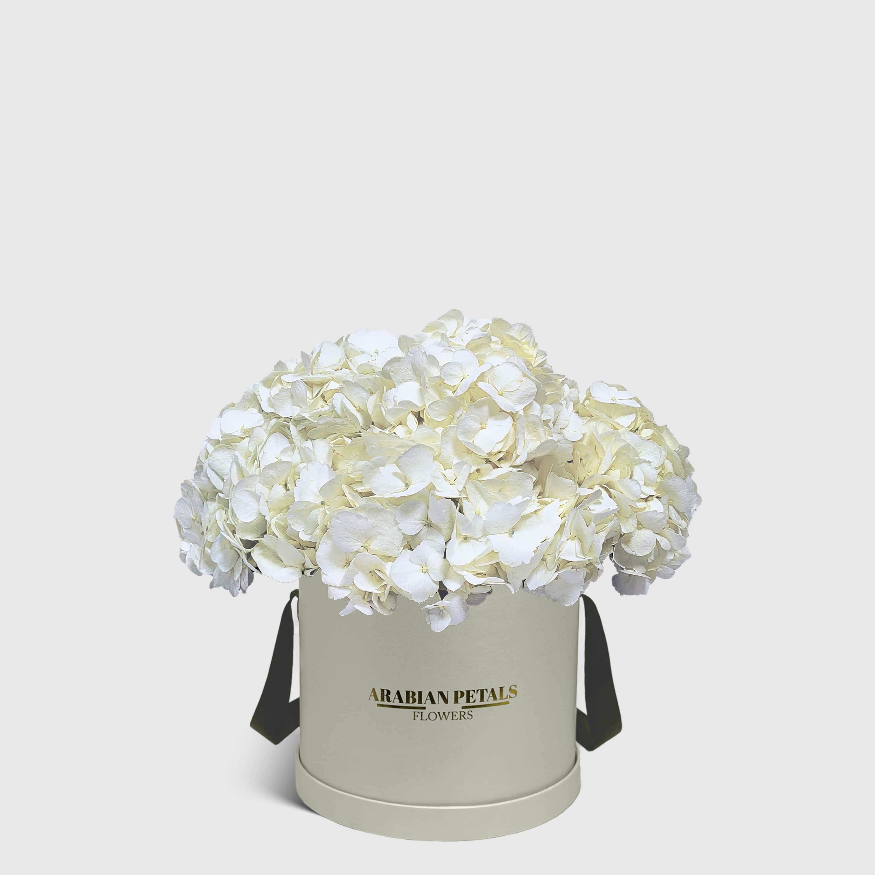 White Hydrangea