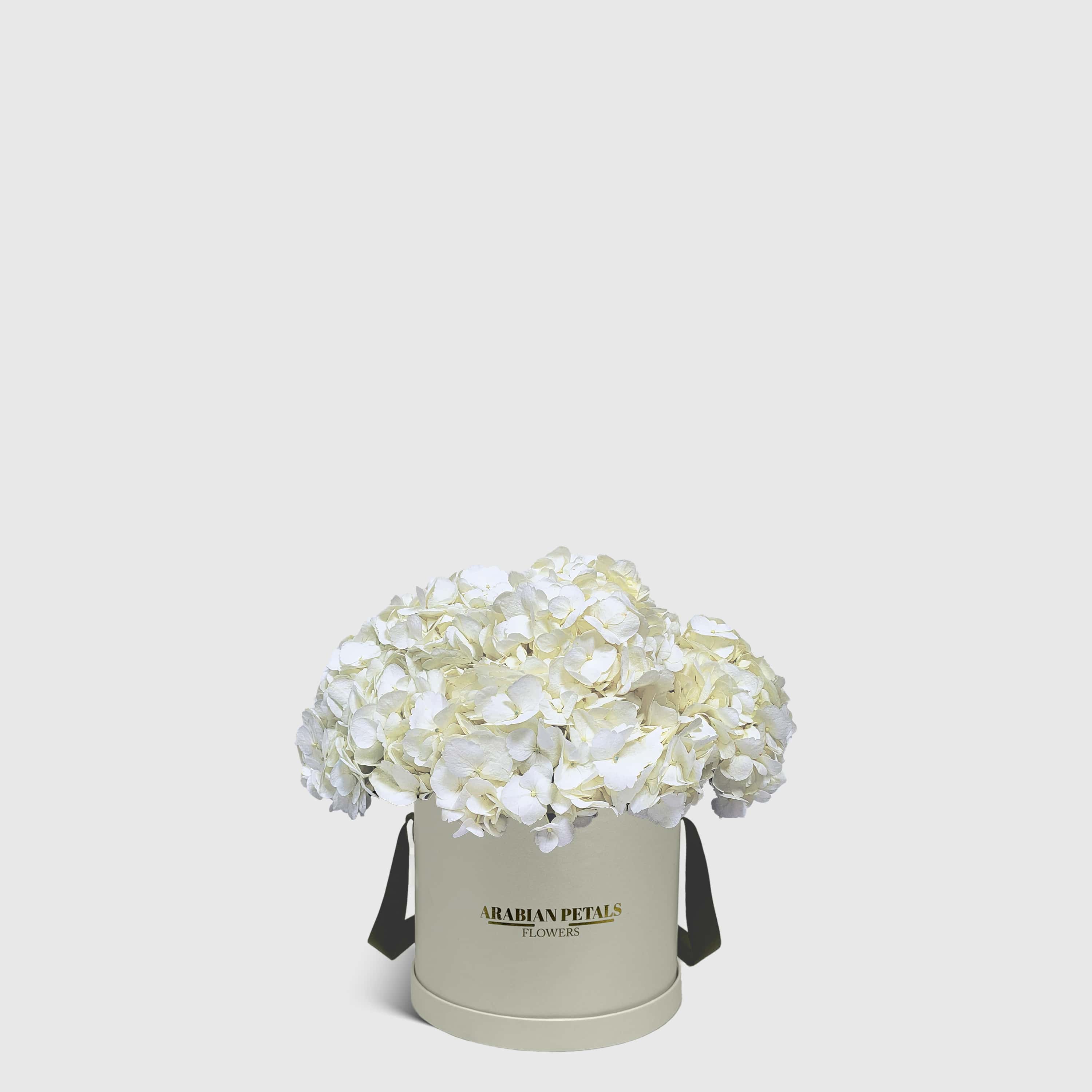 White Hydrangea