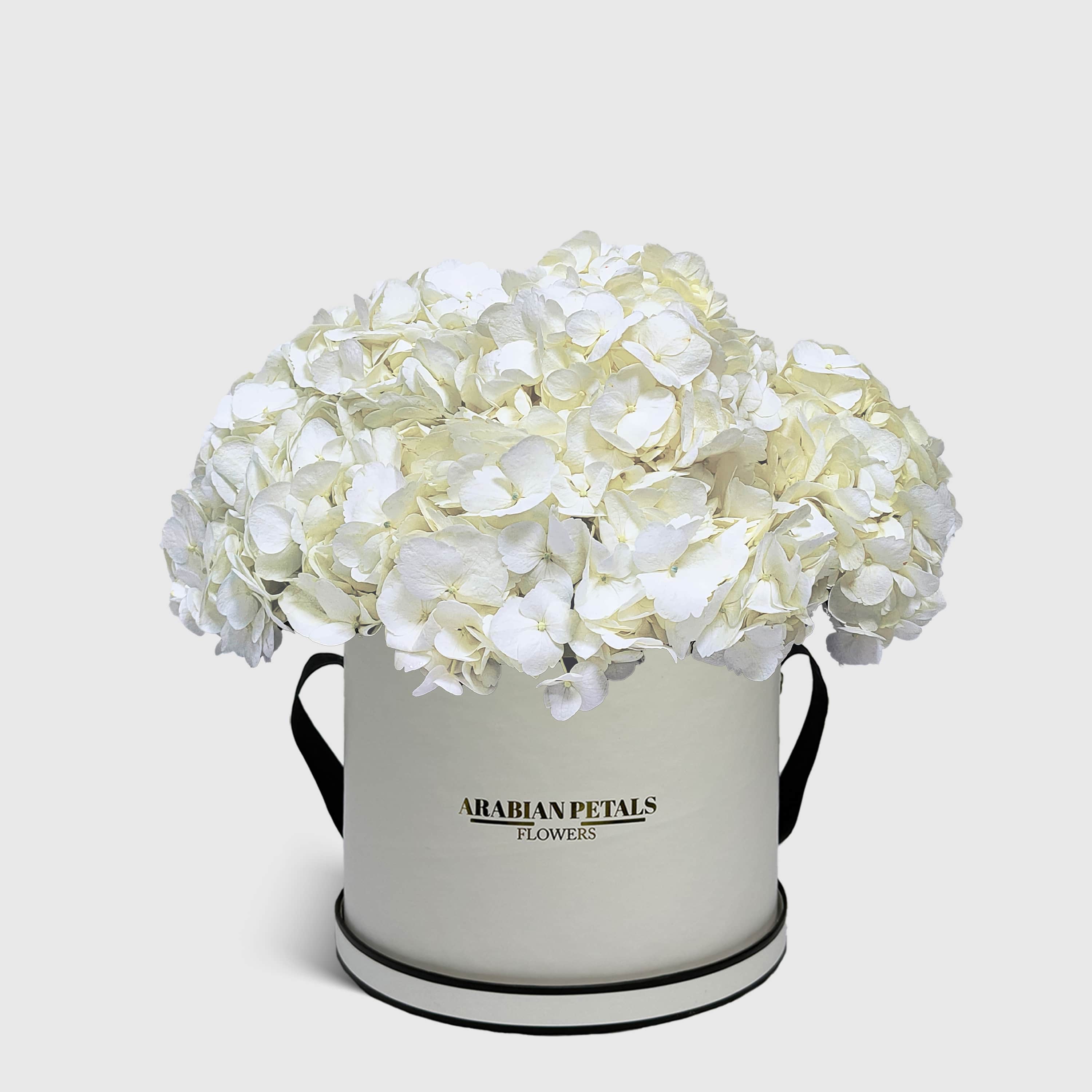 White Hydrangea