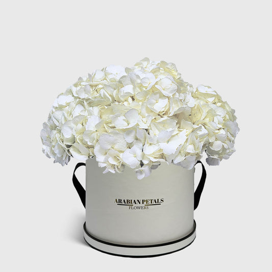 White Hydrangea