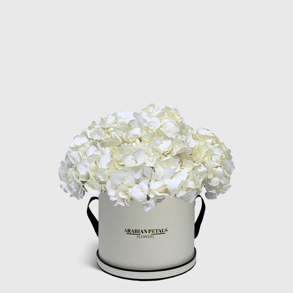 White Hydrangea