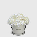 White Hydrangea