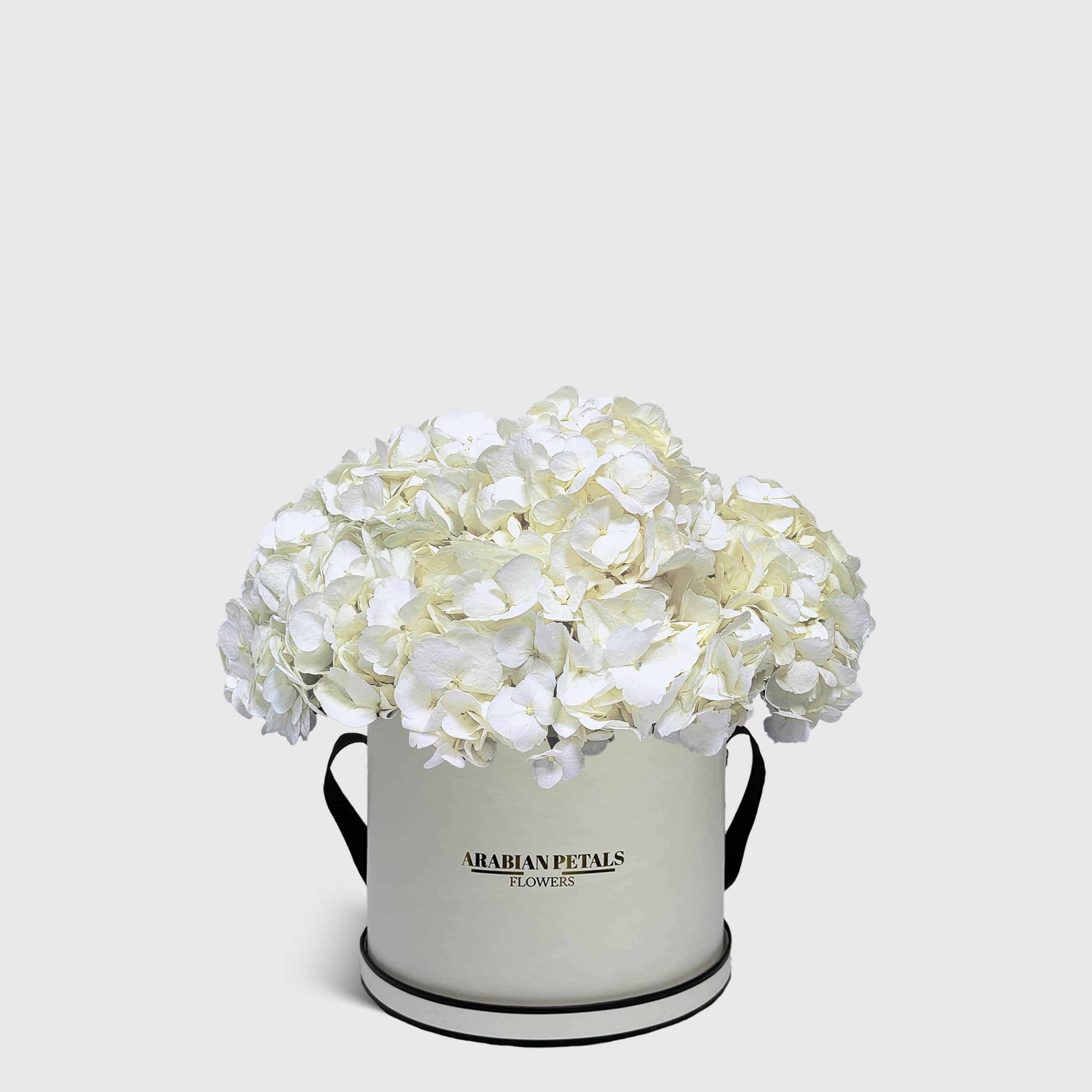 White Hydrangea