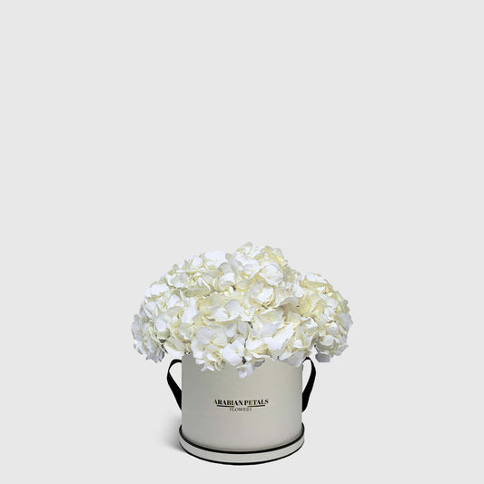 White Hydrangea