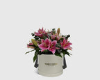 Pink Lily