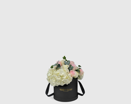 Timeless Whisper Small