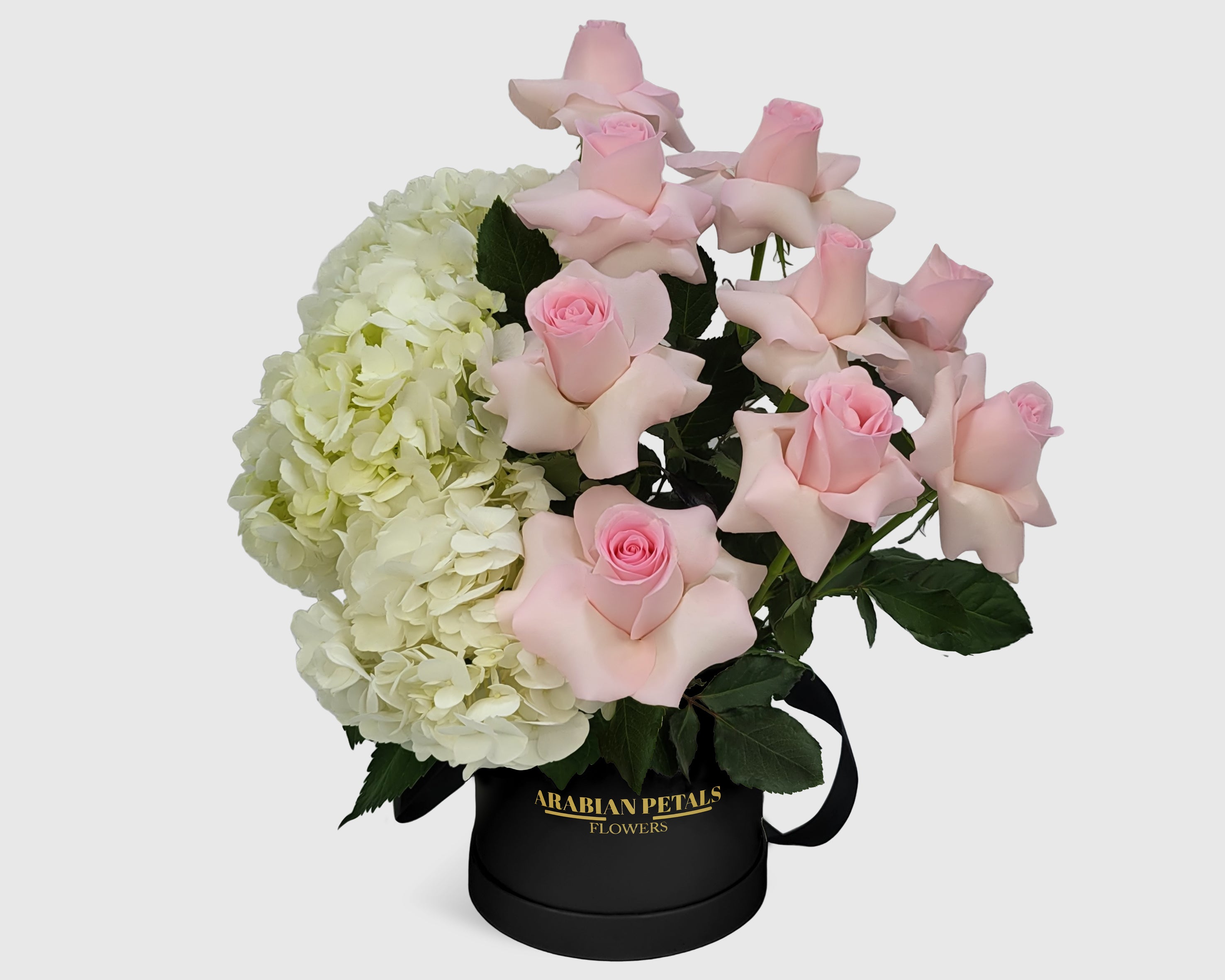 Ivory Blush