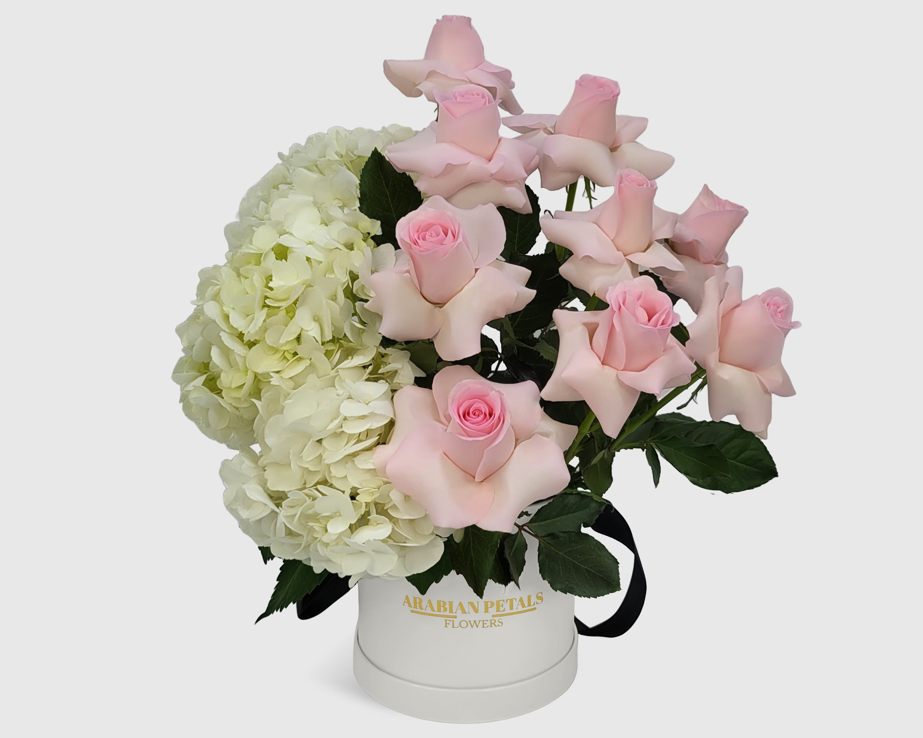 Ivory Blush