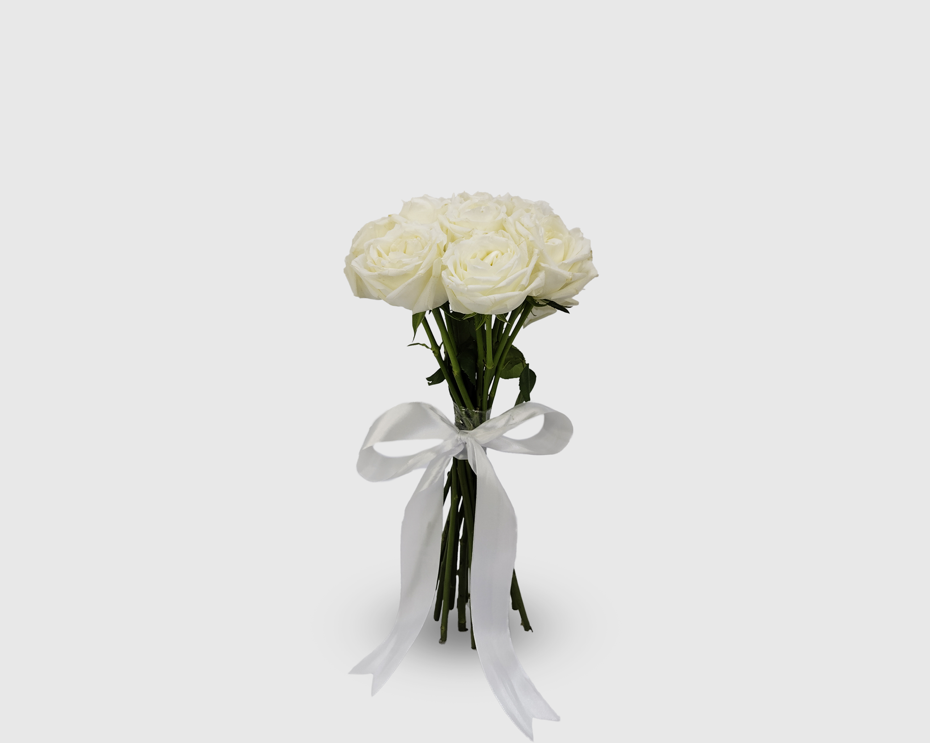 Serene White Rose Symphony